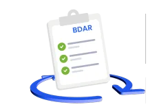 BDAR auditas